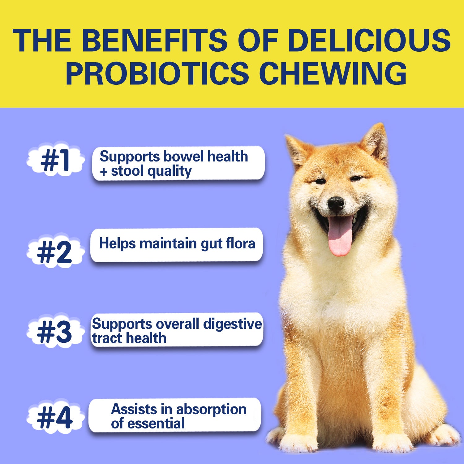 Pet Probiotic Supplements