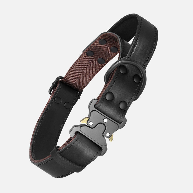 Leather Dog Collar