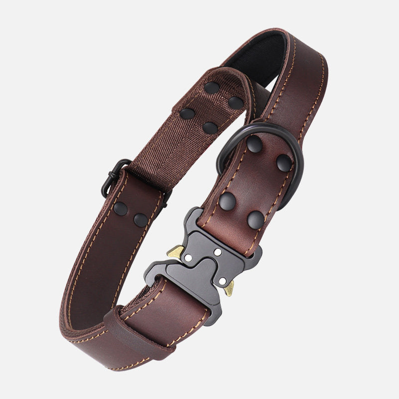 Leather Dog Collar