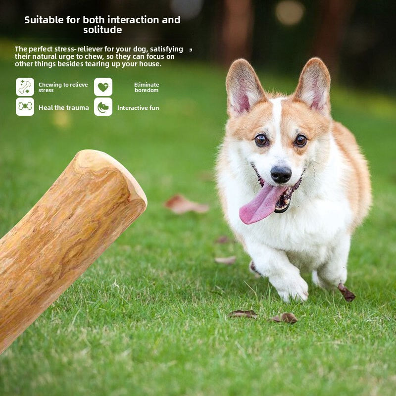 Dog chew toy for relieving boredom