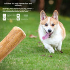 Dog chew toy for relieving boredom