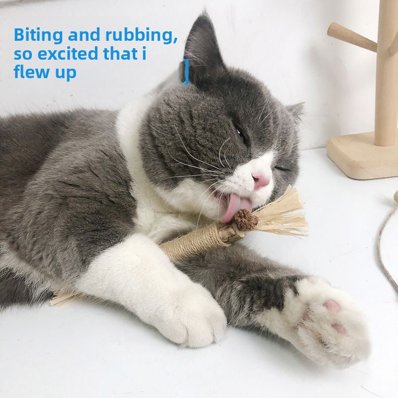 Cat Dental Chew Stick with Hemp Rope Toy