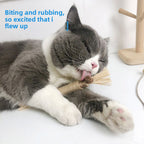Cat Dental Chew Stick with Hemp Rope Toy
