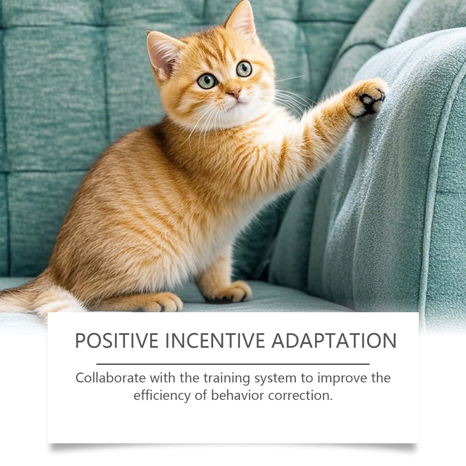 Eeljoy Cat Anti Scratch Spray Gentle Behavior Correction Formula