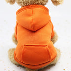 Cute Dog Jumper