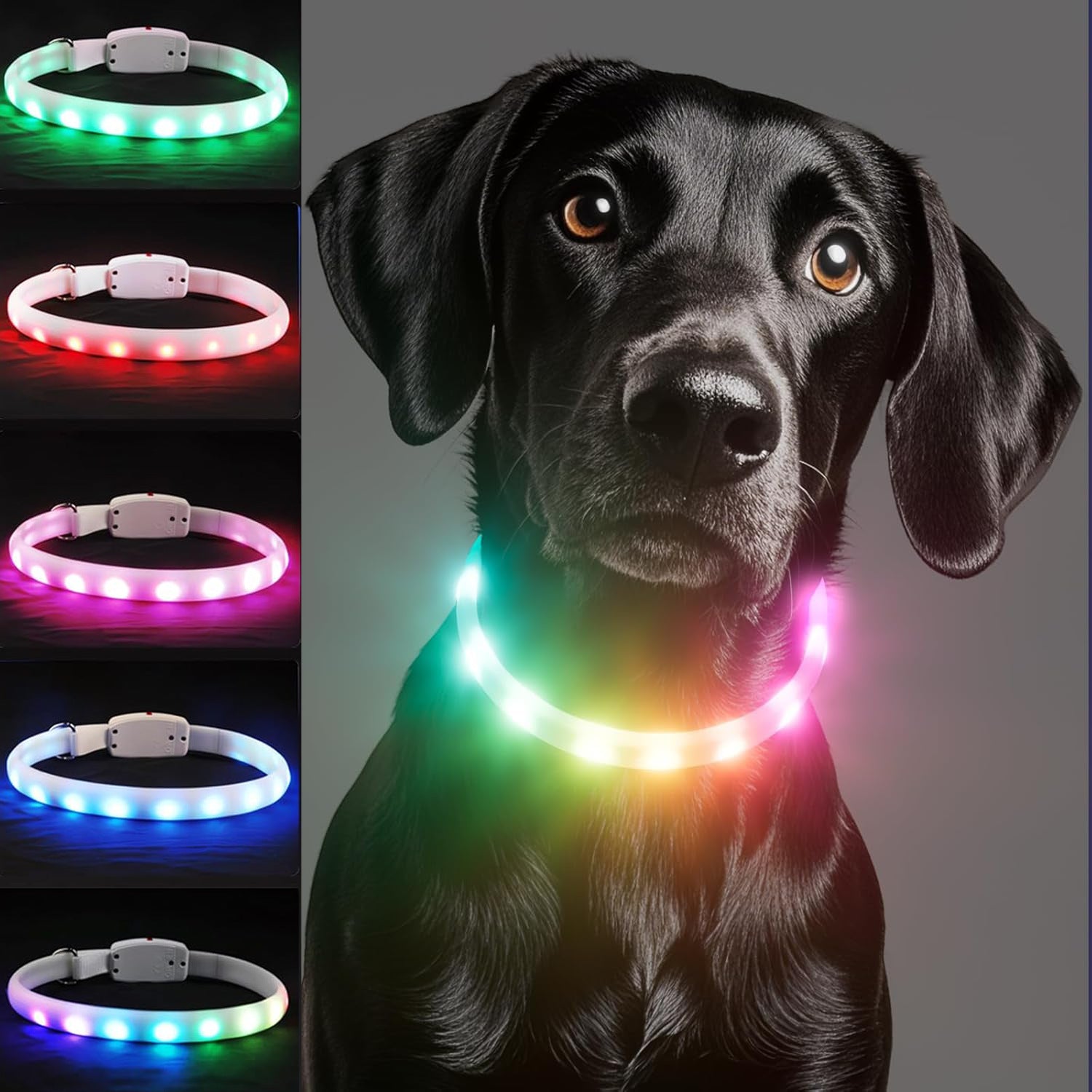 Rechargeable LED Pet Safety Collar