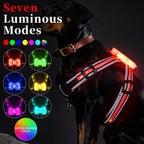 Rechargeable LED Pet Harness with Leash