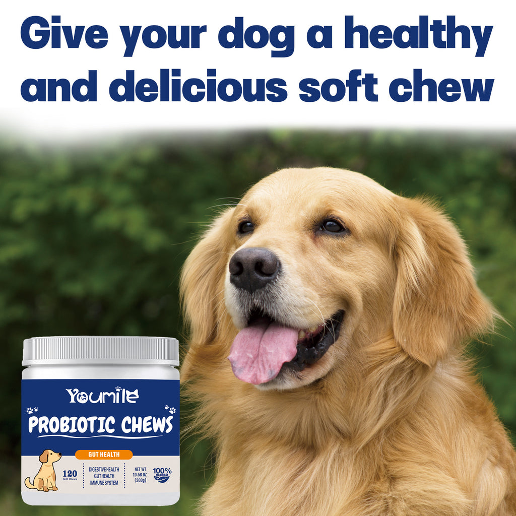 Pet Probiotic Supplements