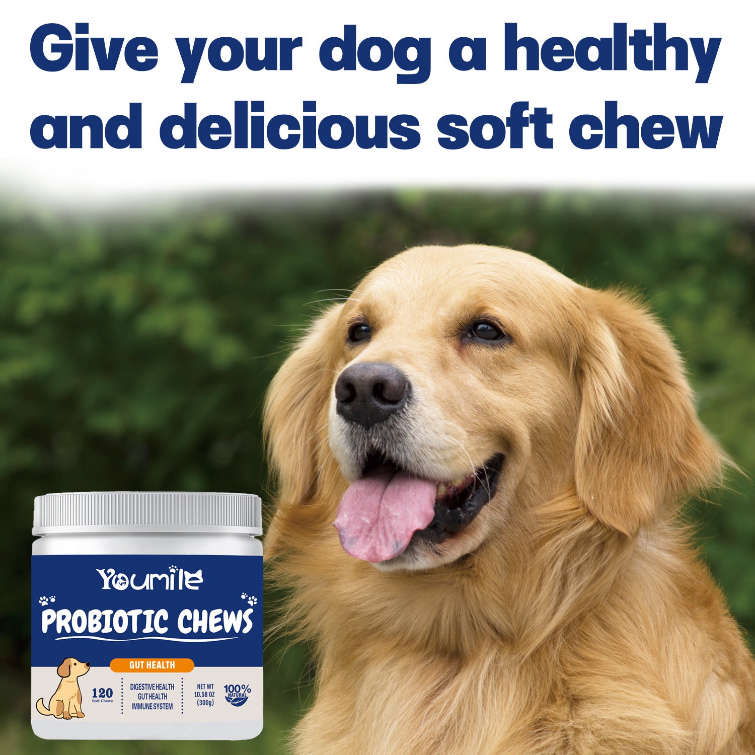 Pet Probiotic Supplements