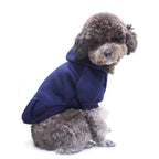Cute Dog Jumper