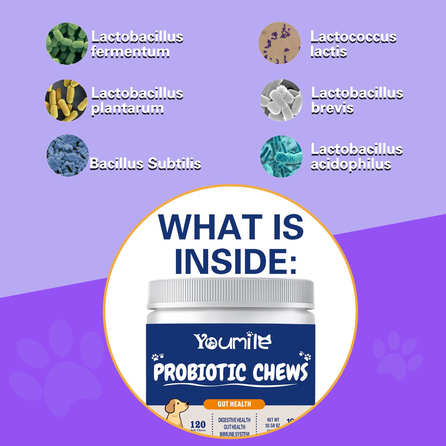 Pet Probiotic Supplements