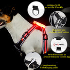 Rechargeable LED Pet Harness with Leash
