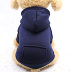 Cute Dog Jumper