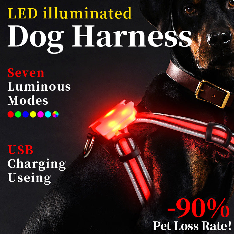 Rechargeable LED Pet Harness with Leash
