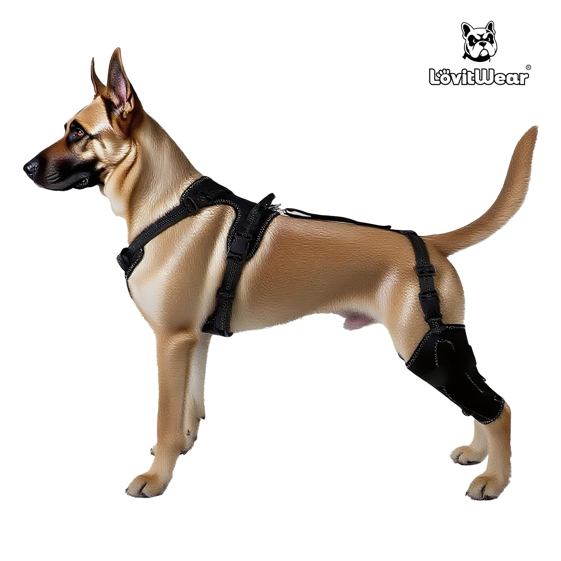 Dog Leg Protection