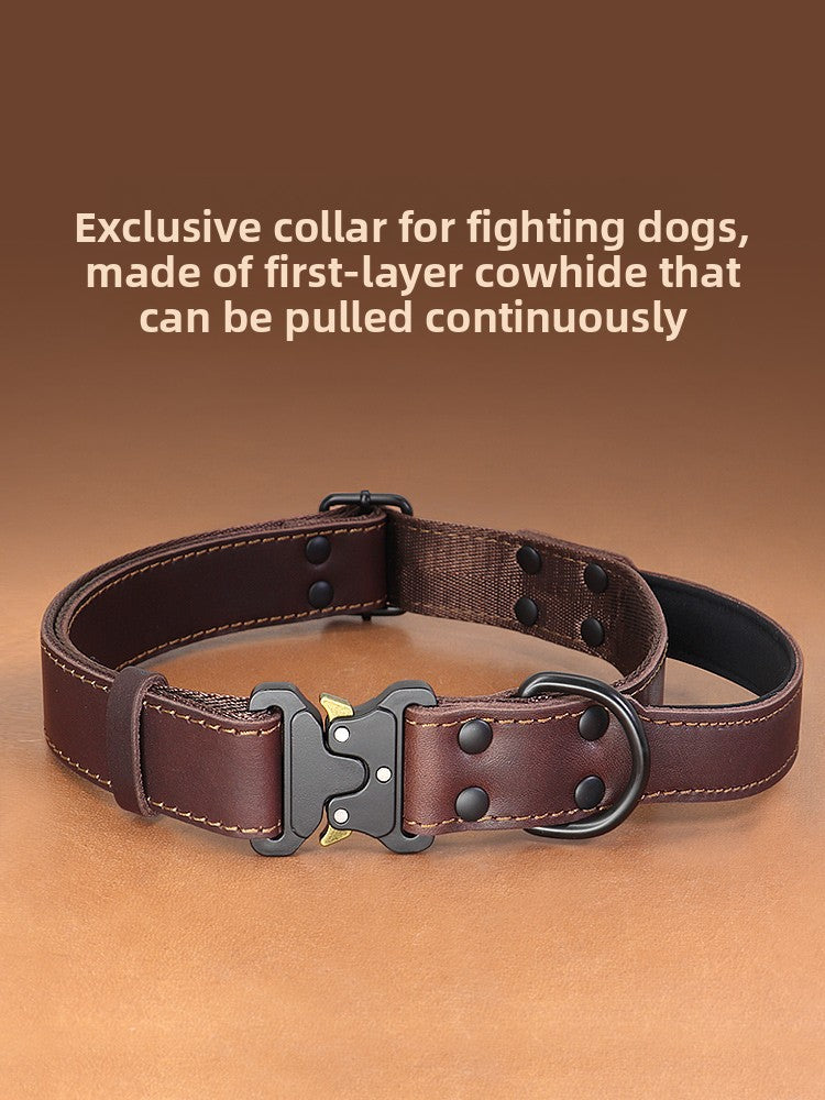 Leather Dog Collar